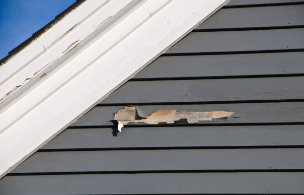 Best Engineered Wood Siding  in Sunflower, MS